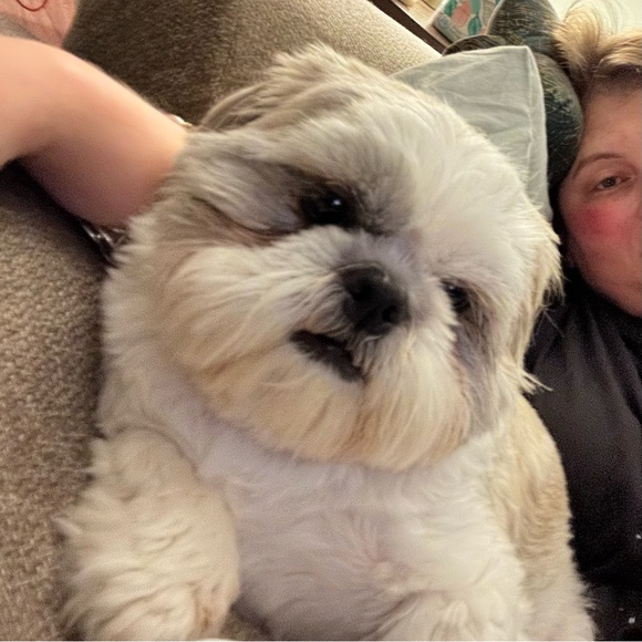 Meet your Posher, Kelly - Picture 2 of 5